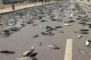 カラチャイ湖はチェルノブイリよりやばい 超危険 雑学サークル